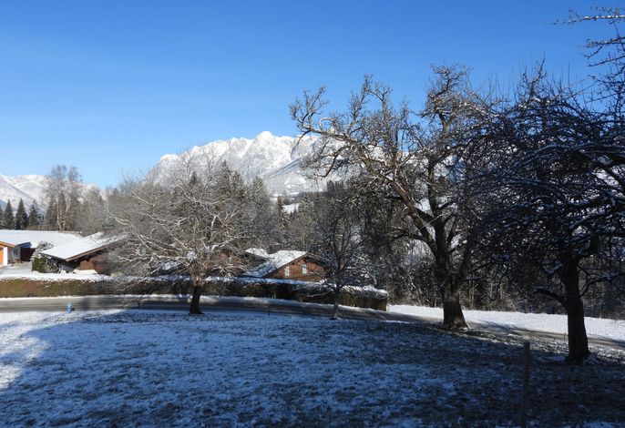 Bild 14