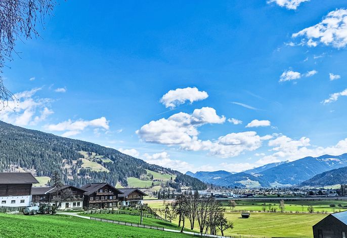 Bild 12