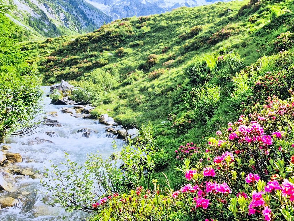 Alpenflair 3