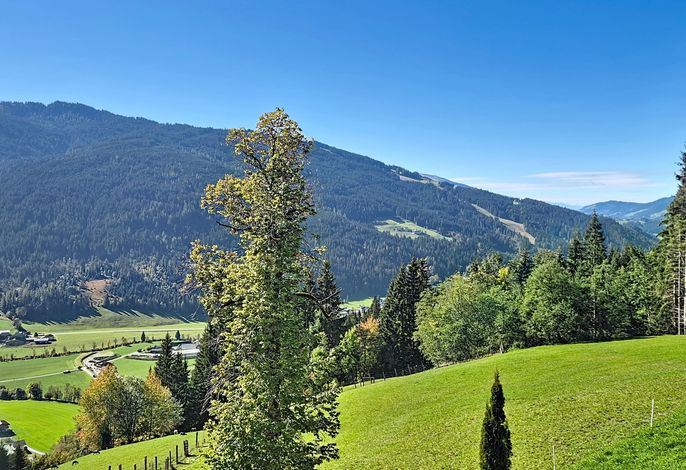 Bild 10