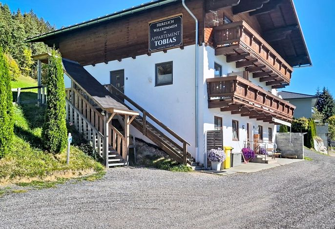 Bild 12
