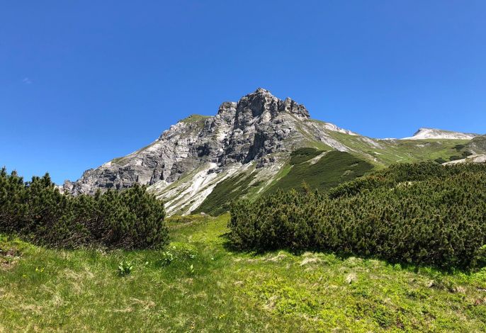 Bild 16