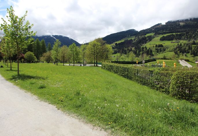 Bild 15
