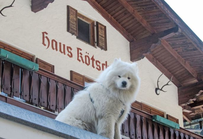 Bild 2
