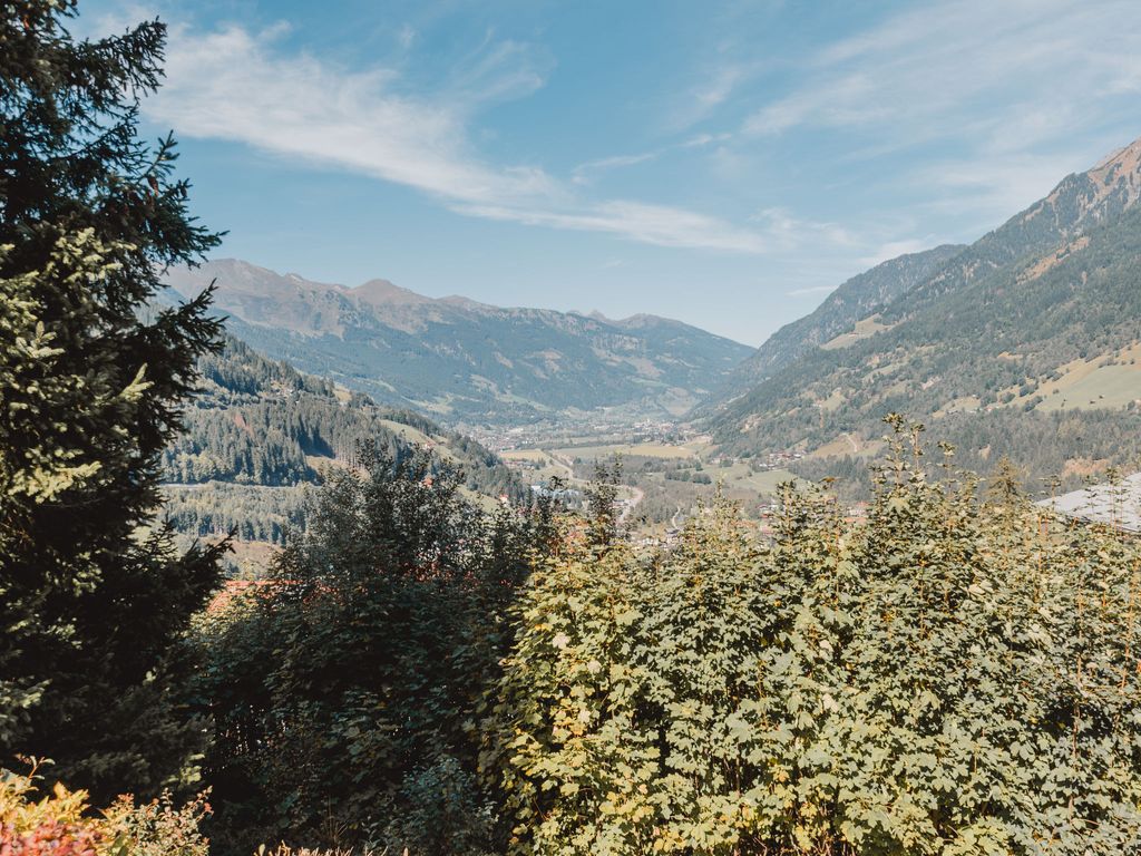 Alpenapartment