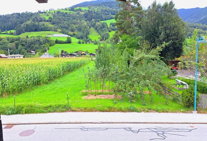 Bild 11