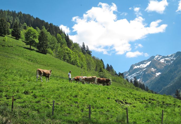 Bild 8