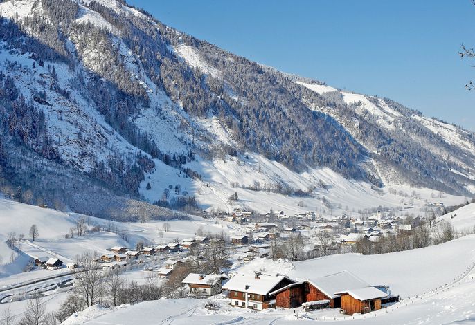 Bild 15
