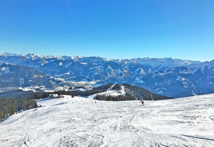 Bild 15