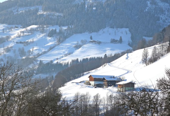 Bild 7
