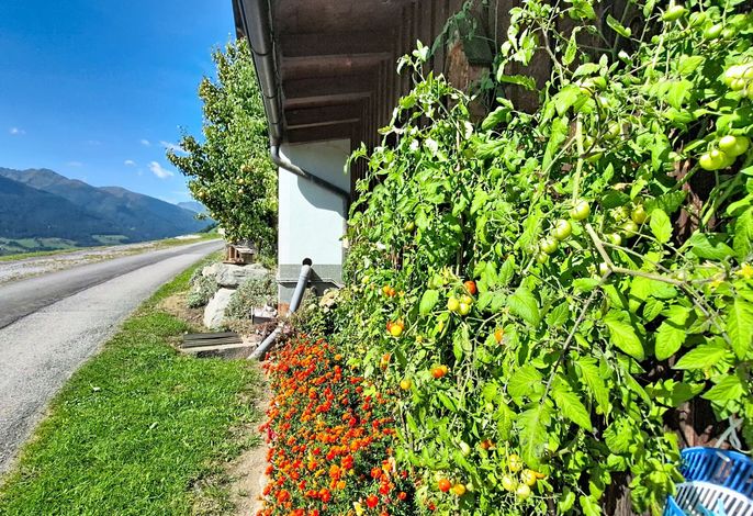 Bild 18