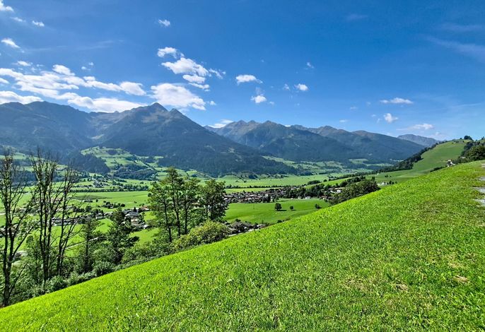 Bild 15