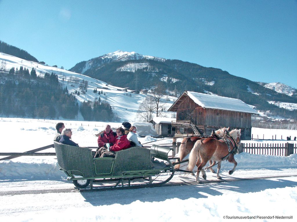 Chalet Dinkel in Niedernsill 8-B