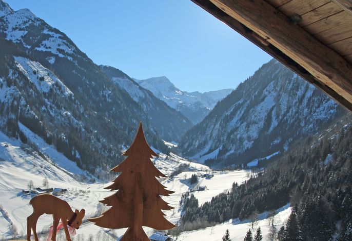 Bild 7