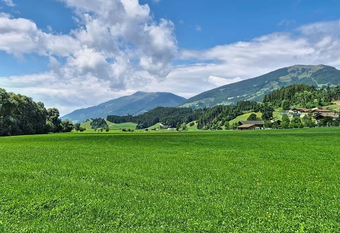 Bild 19