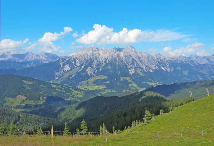 Bild 15