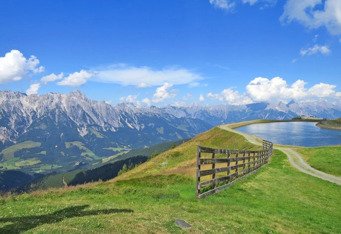 Bild 14