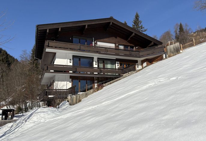 Bernkogel
