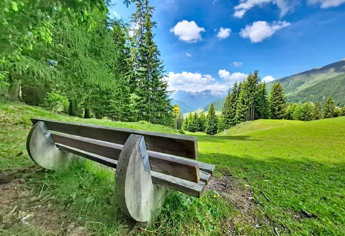 Bild 19