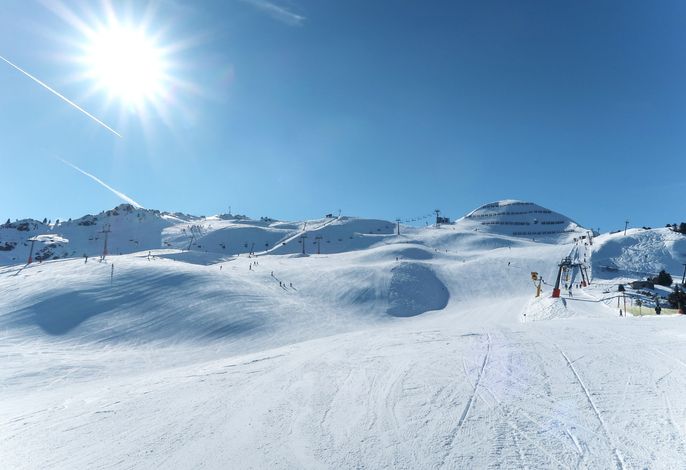 Bild 15