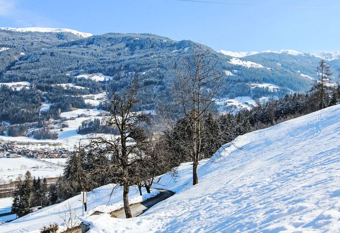 Bild 11