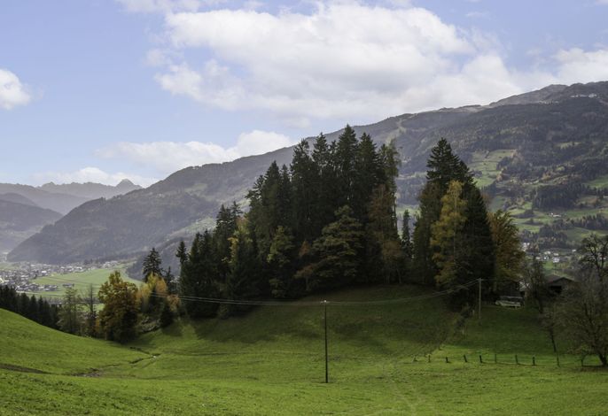 Bild 8