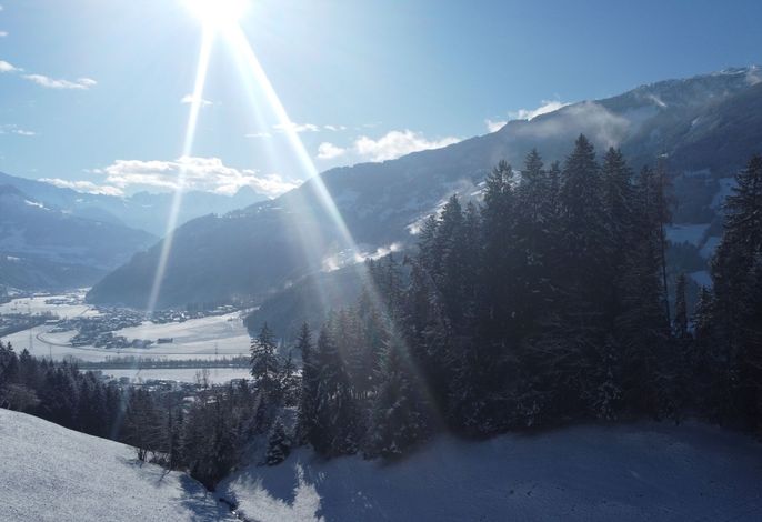 Bild 12