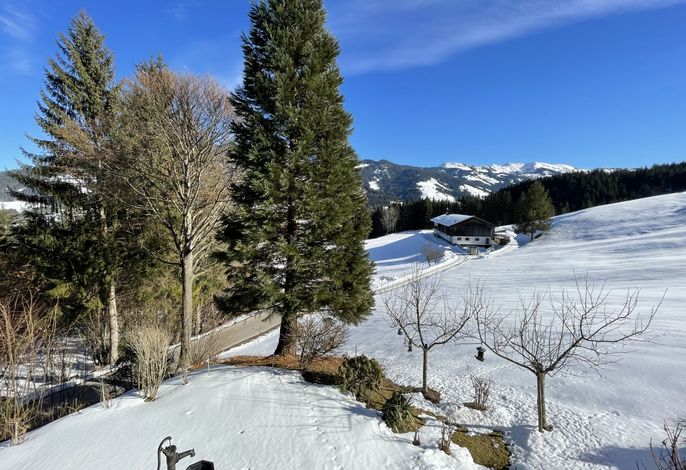 Bild 12