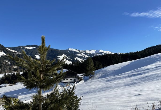 Bild 13