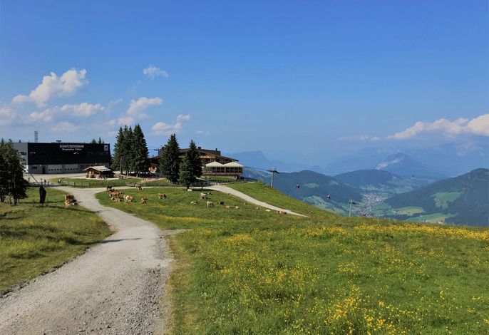 Bild 22