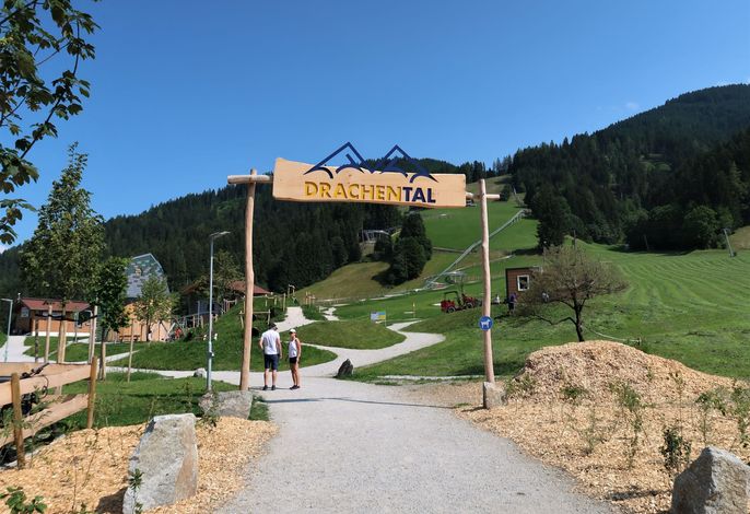 Bild 15