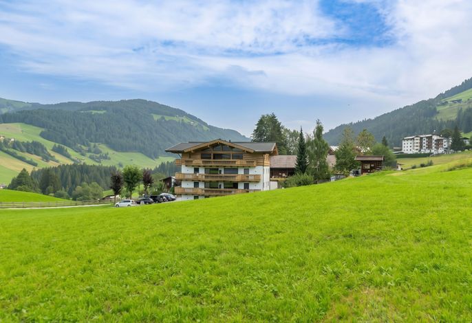 Bild 12