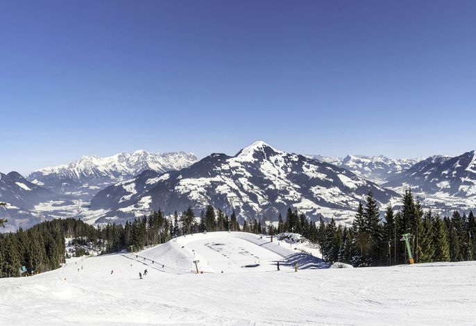 Bild 14