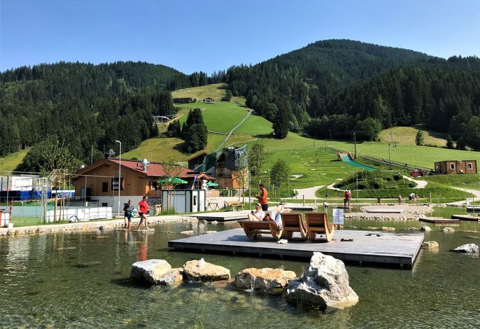 Bild 11
