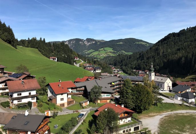 Bild 12