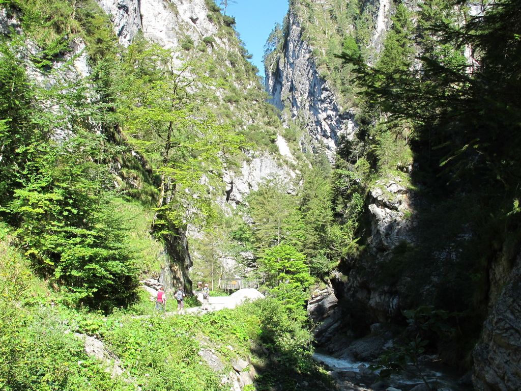 Waldruhe