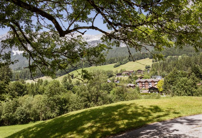 Bild 22