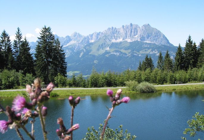 Bild 15