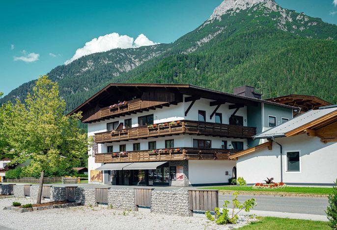 Alpenmohn