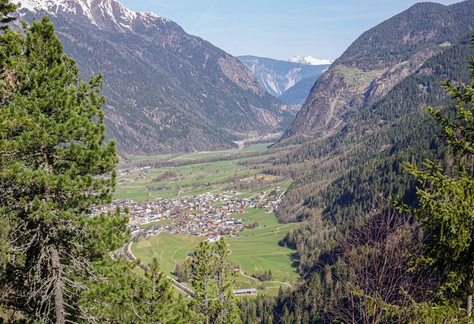 Bild 19