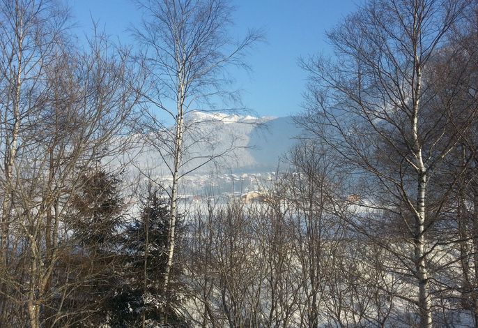 Bild 7