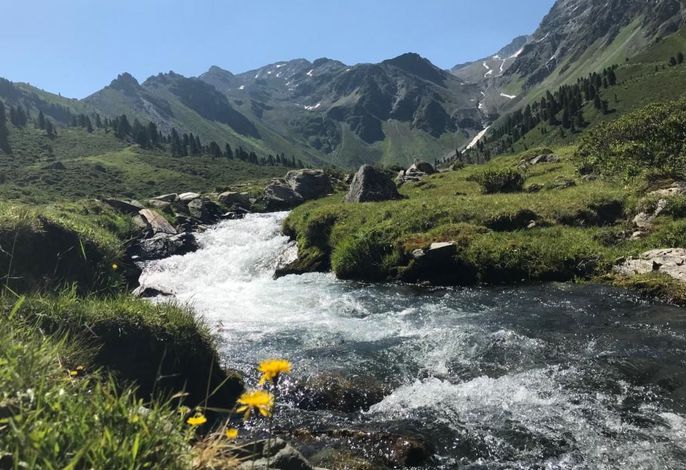 Bild 14