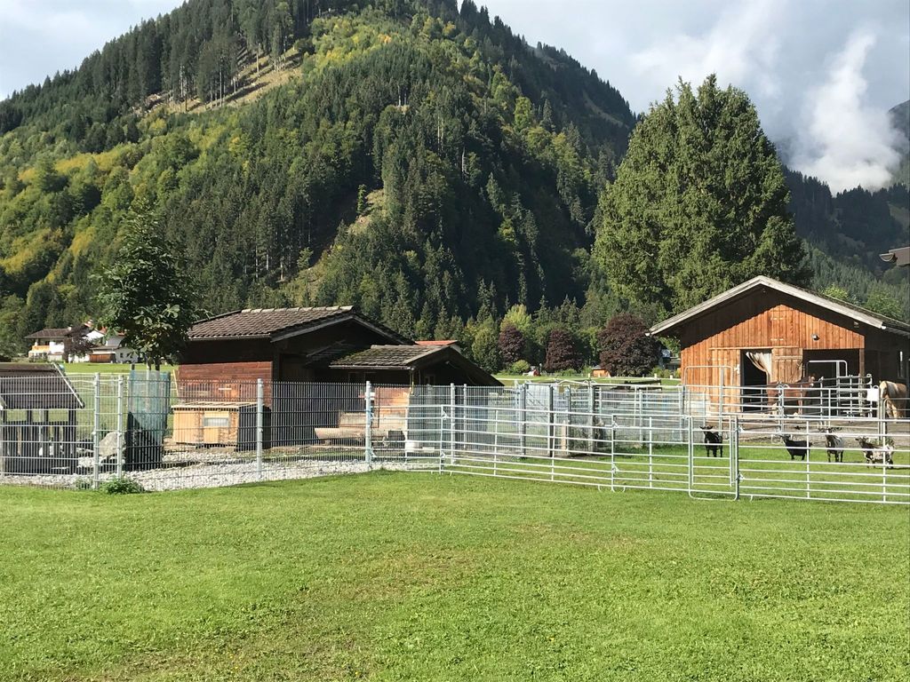 Pony-Ziegen-Hasen-Ranch in Bichlbach