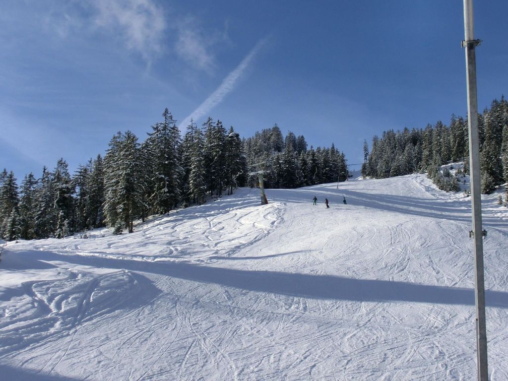 Alpenhof Sonne