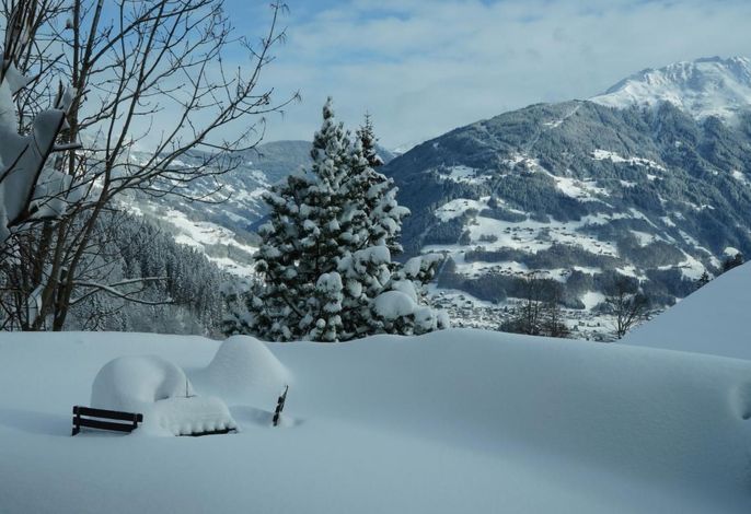 Bild 11