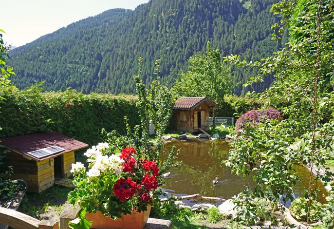 Bild 10