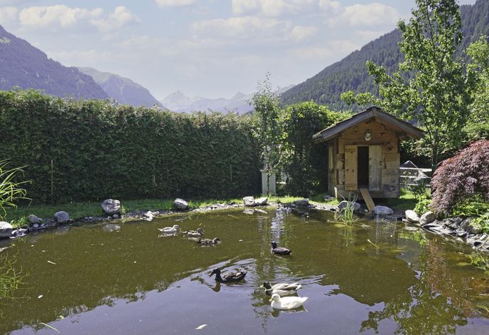 Bild 8