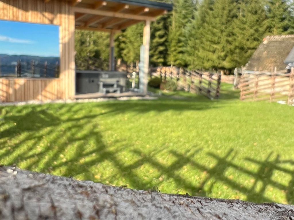Waldheimatblick