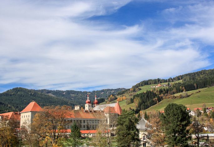 Bild 9