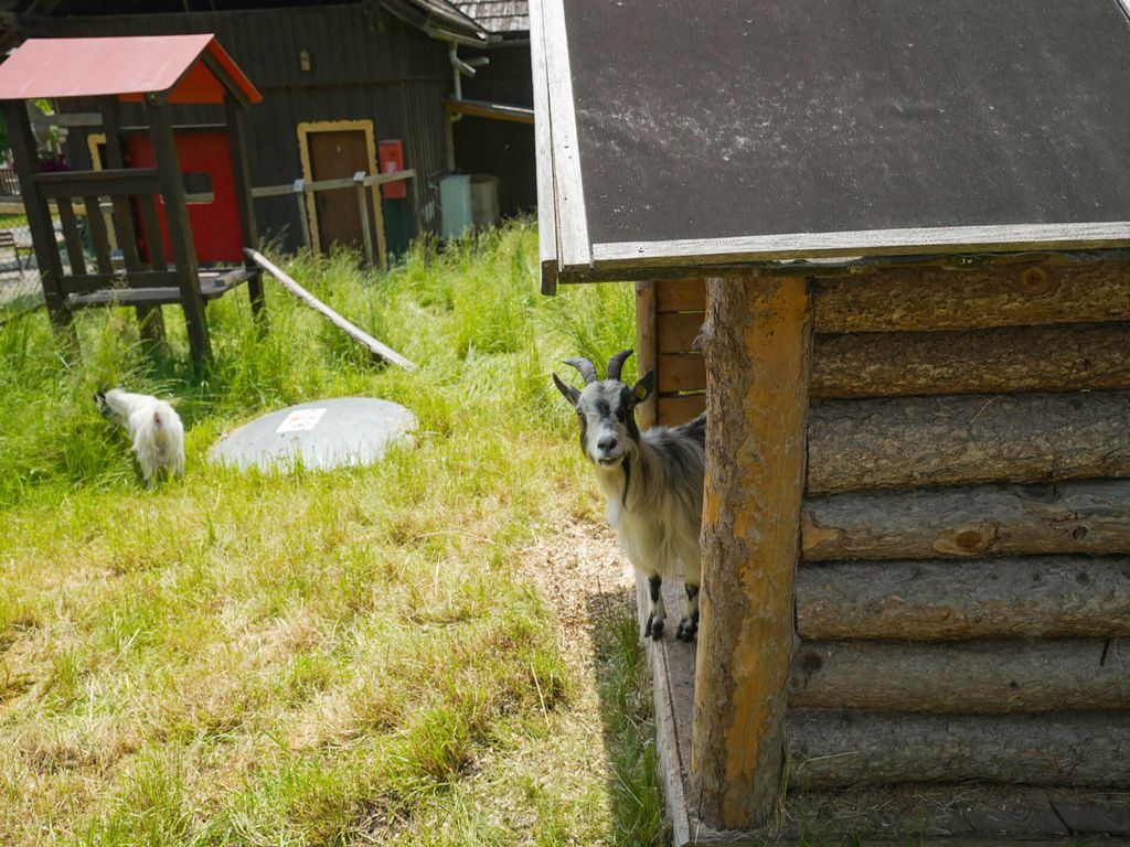 Camping Bella Austria